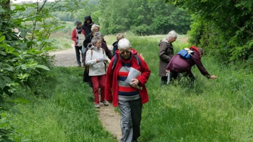 Image2